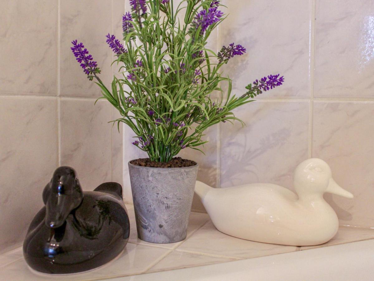 Appartamento L'amiral By Interhome